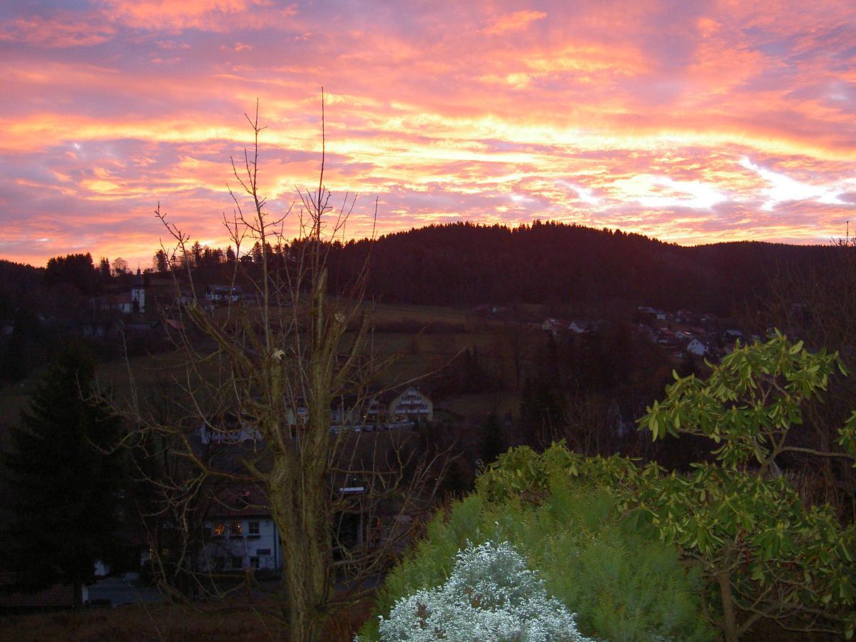 Ferienwohnung Haus Am Duerrberg "St. Barbara" Warmensteinach Extérieur photo